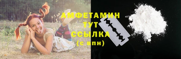 амф Вяземский